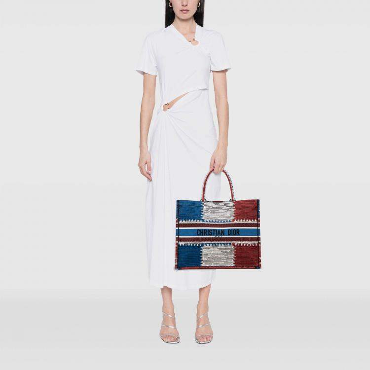 Pre Owned Dior Blue Large Canvas French Flag Book Tote