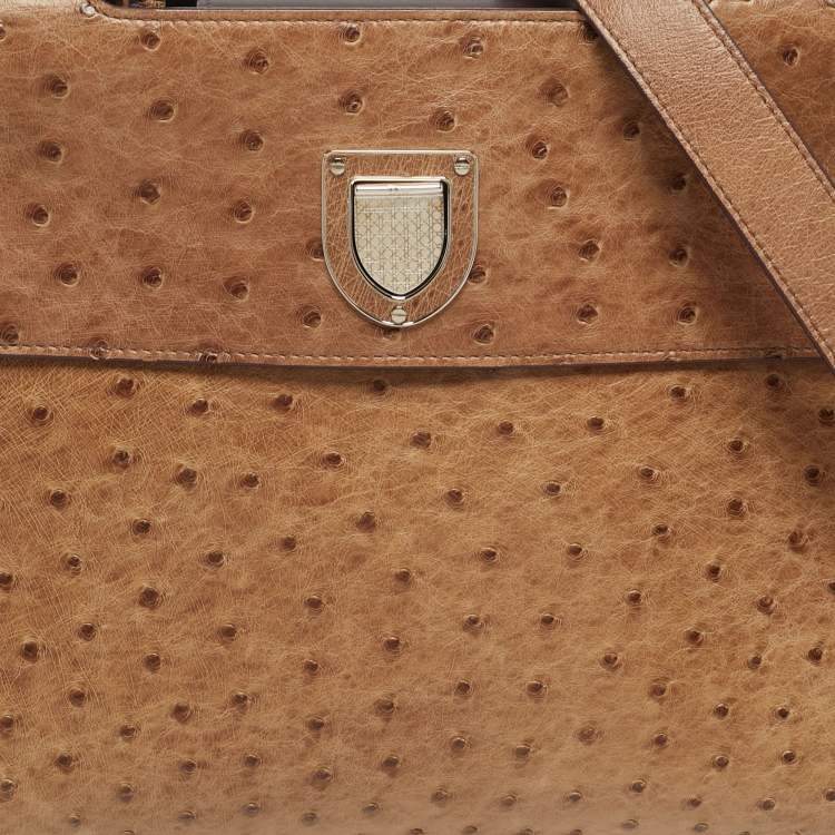 Pre Owned Dior Brown Ostrich Medium Diorever Top Handle Bag