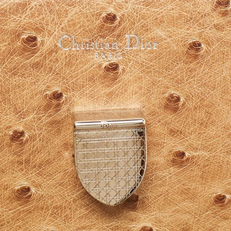 Pre Owned Dior Brown Ostrich Medium Diorever Top Handle Bag