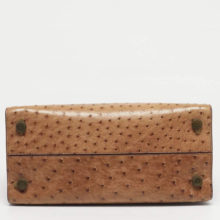 Pre Owned Dior Brown Ostrich Medium Diorever Top Handle Bag