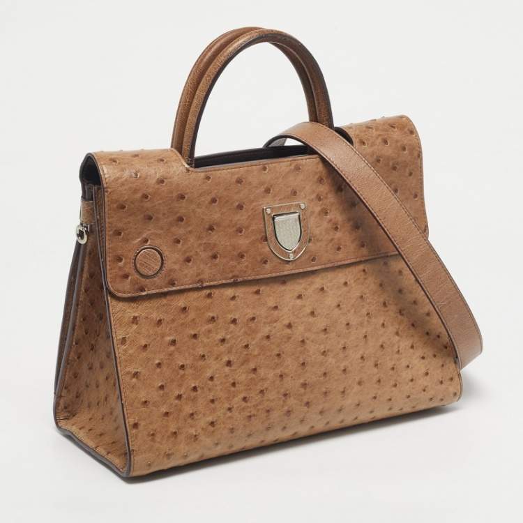 Pre Owned Dior Brown Ostrich Medium Diorever Top Handle Bag