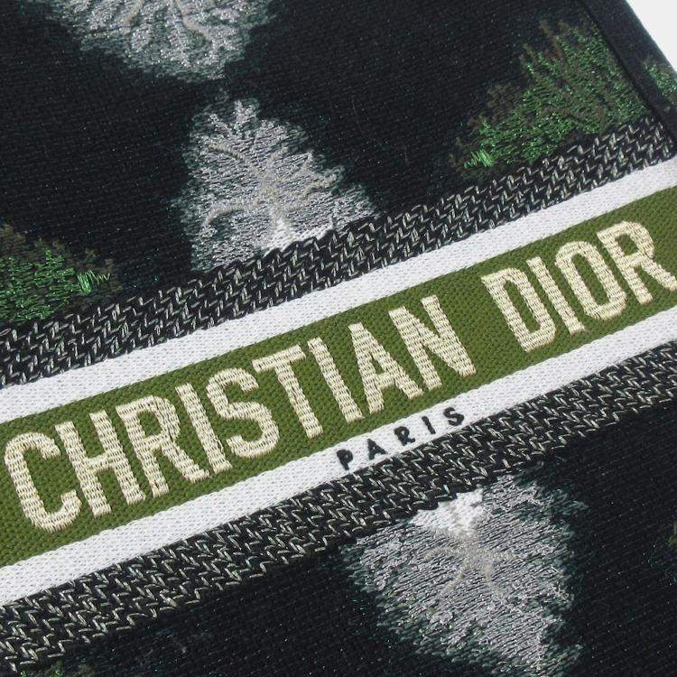 Pre Owned Dior Green Tie Dye Vertical Book Tote