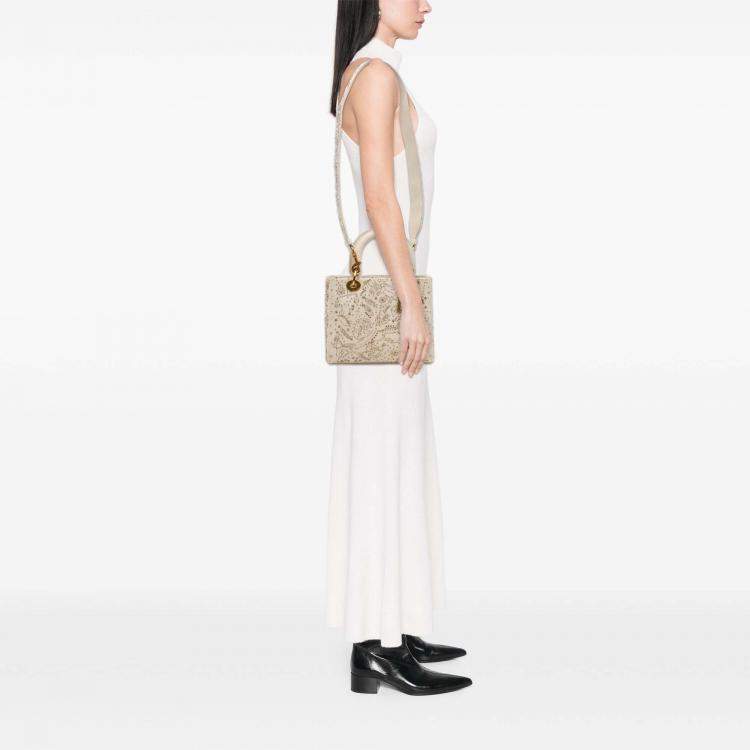 Pre Owned Dior Beige/Gold Medium Calfskin Embroidered Astrology Lady Dior