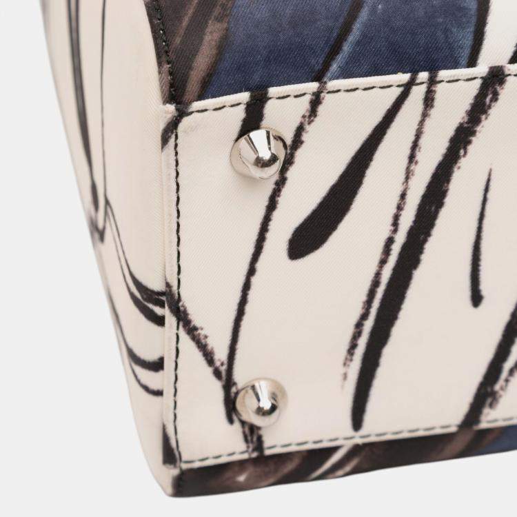 Pre Owned Dior Multicolor Large Canvas Floral Graffiti Lady Dior