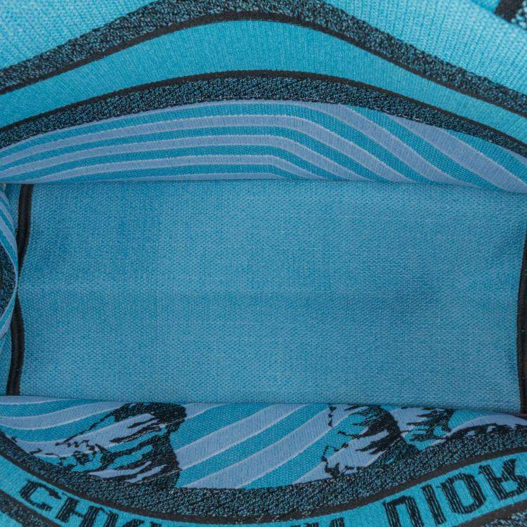Pre Owned Dior Blue Medium Embroidered Canvas Zebra D Jungle Pop Book Tote