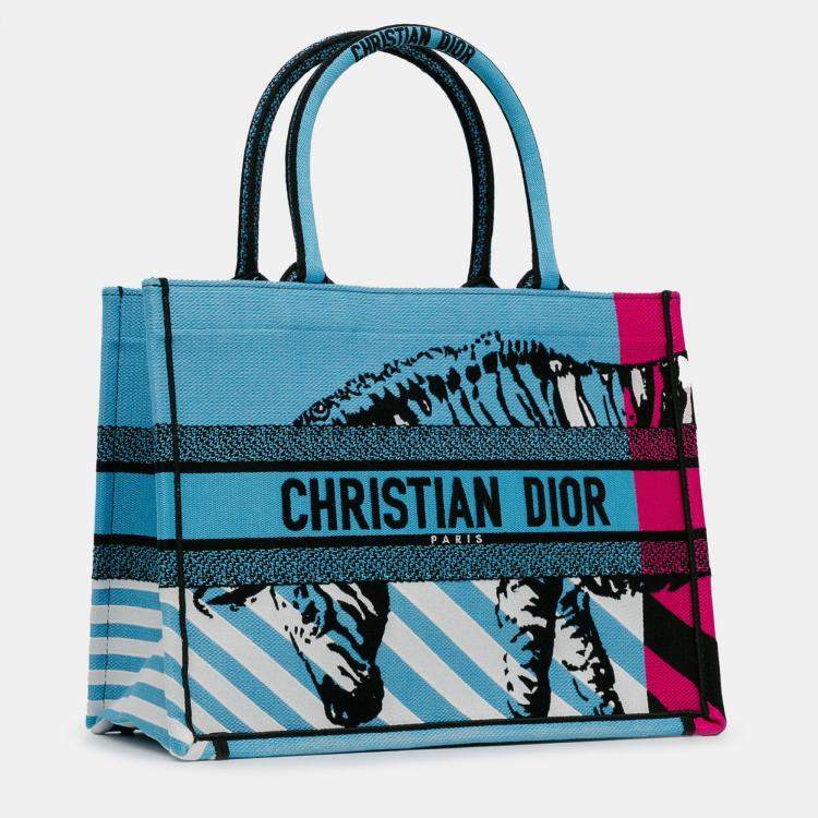 Pre Owned Dior Blue Medium Embroidered Canvas Zebra D Jungle Pop Book Tote