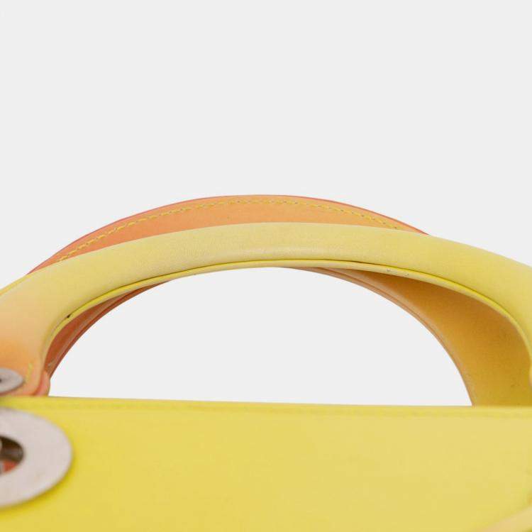 Pre Owned Dior Multicolor Medium Ombre Calfskin Lady Dior