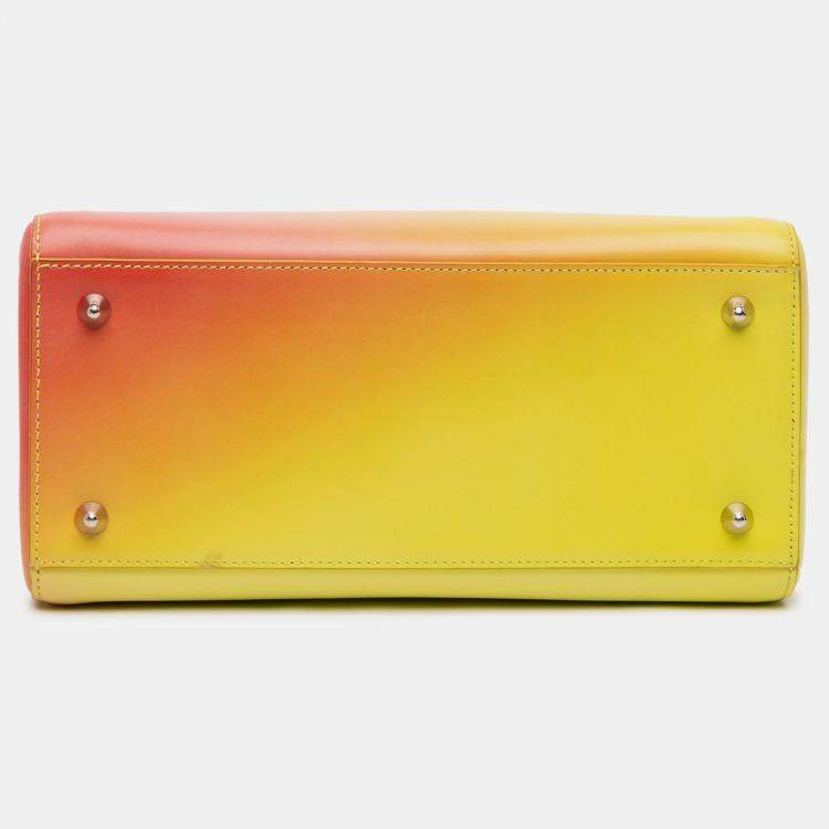 Pre Owned Dior Multicolor Medium Ombre Calfskin Lady Dior