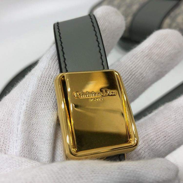 Pre Owned Christian Dior Dior Cd Logo Montaigne Oblique Green/Grey Canvas Leather Shoulder Bag