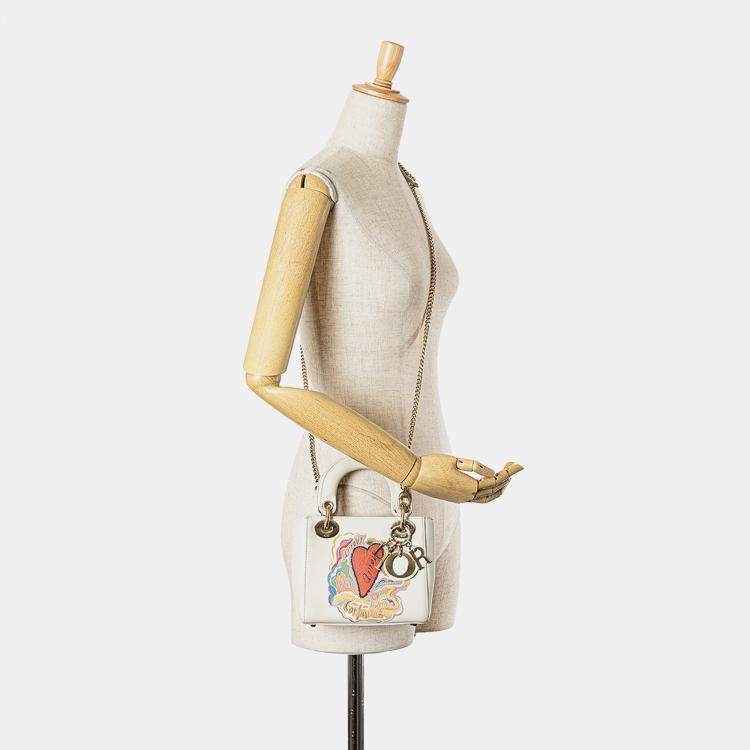 Pre Owned Dior Niki De Saint Phalle Dioramour Lady Dior Mini Calfskin Leather Top Handle Bag