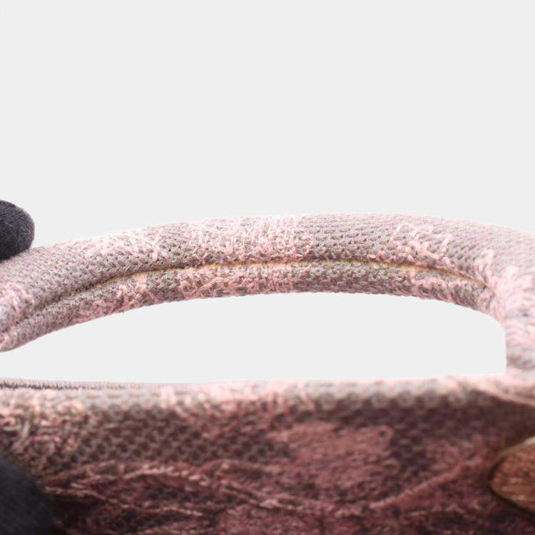 Pre Owned Christian Dior Dior Lady D-Joy Medium Gray/Pink Canvas Handbag     