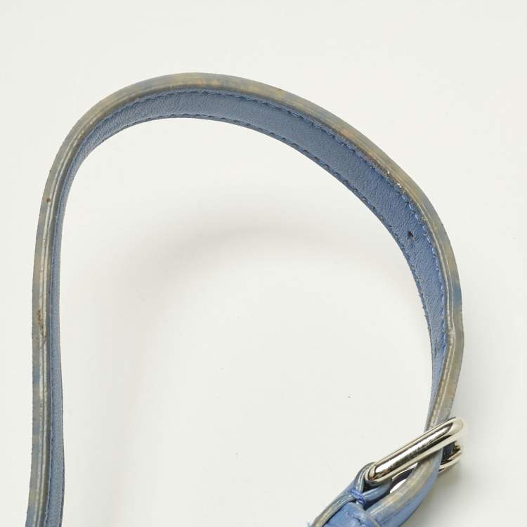 Pre Owned Dior Light Blue Cannage Leather Small Diorama Flap Bag