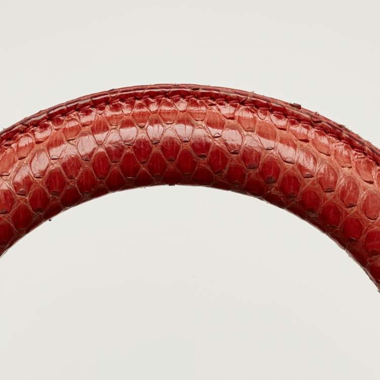 Pre Owned Dior Red Python Large Lady Dior Tote