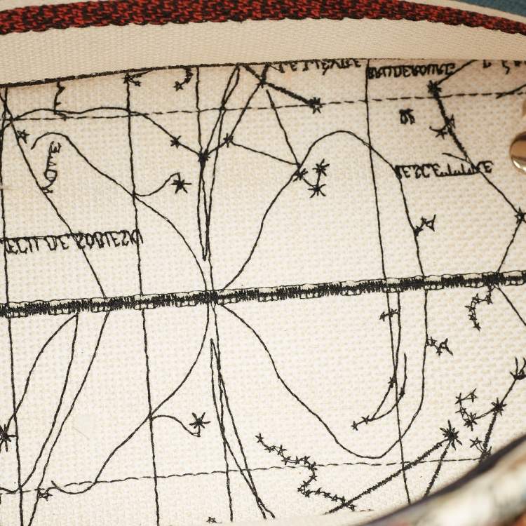 Pre Owned Dior Multicolor Floral Embroidered Canvas Medium Lady D-Lite Tote