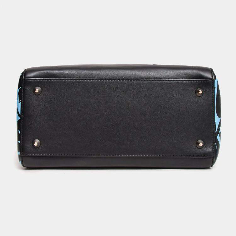 Pre Owned Christian Dior 2016 Black/Blue Leather Floral Printed Lady Dior