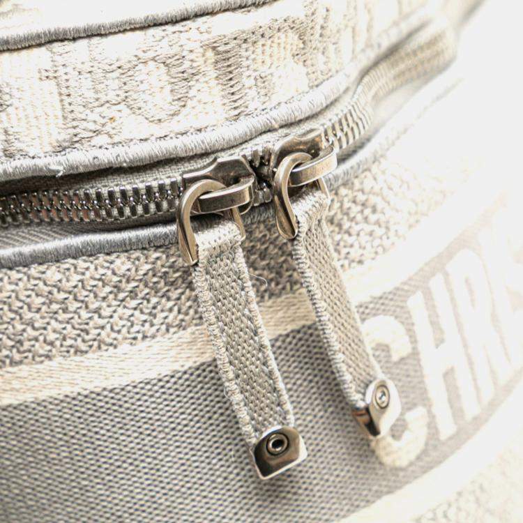 Pre Owned Christian Dior Dior Oblique Travel Vanity Handbag In Gray And White Canvas