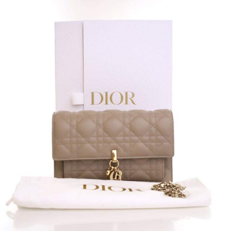 Pre Owned Dior Lambskin Daily Pouch With Chain
