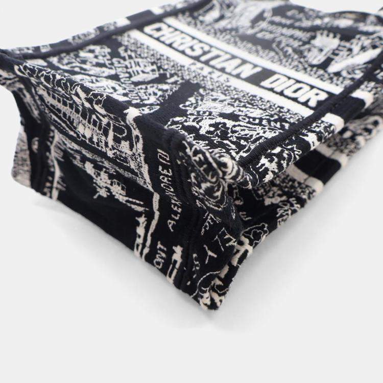 مملوكة مسبقًا Dior Mini Canvas Vertical Tote