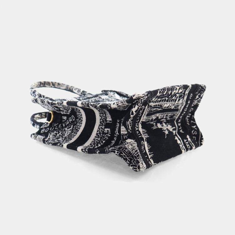 مملوكة مسبقًا Dior Mini Canvas Vertical Tote