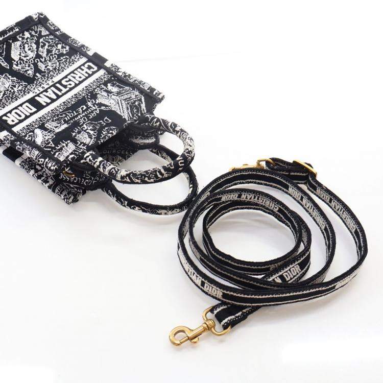 مملوكة مسبقًا Dior Mini Canvas Vertical Tote