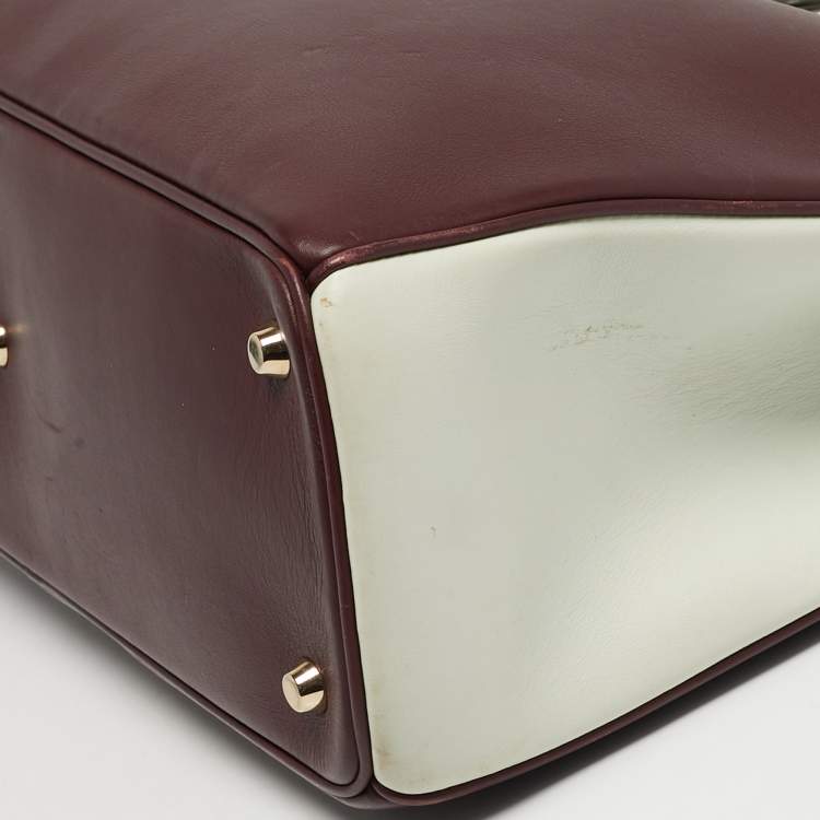 مملوكة مسبقًا Dior Diorissimo Large Tricolor Leather Tote