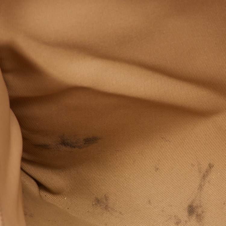 مملوكة مسبقًا Dior Street Chic Beige/Brown Oblique Canvas and Leather Trotter Tote