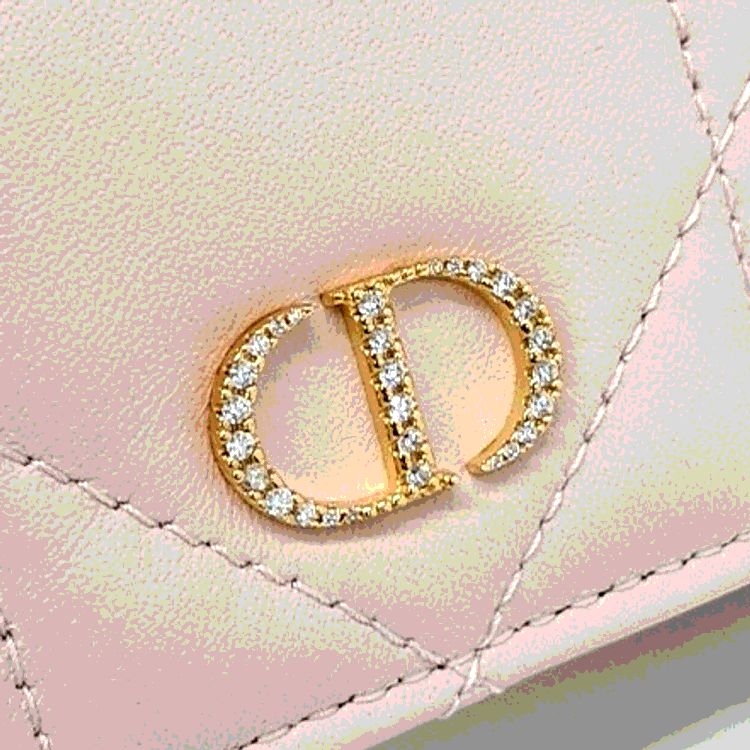 Pre Owned Dior Leather Caro Glycine Card Holder