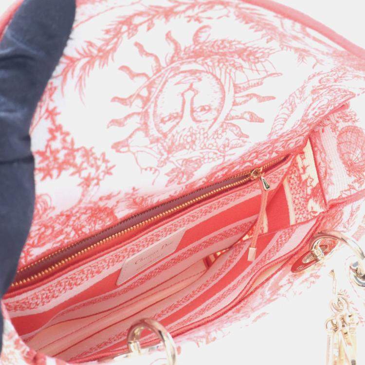Pre Owned Christian Dior Medium Embroidered Canvas Dioriviera Lady D-Lite