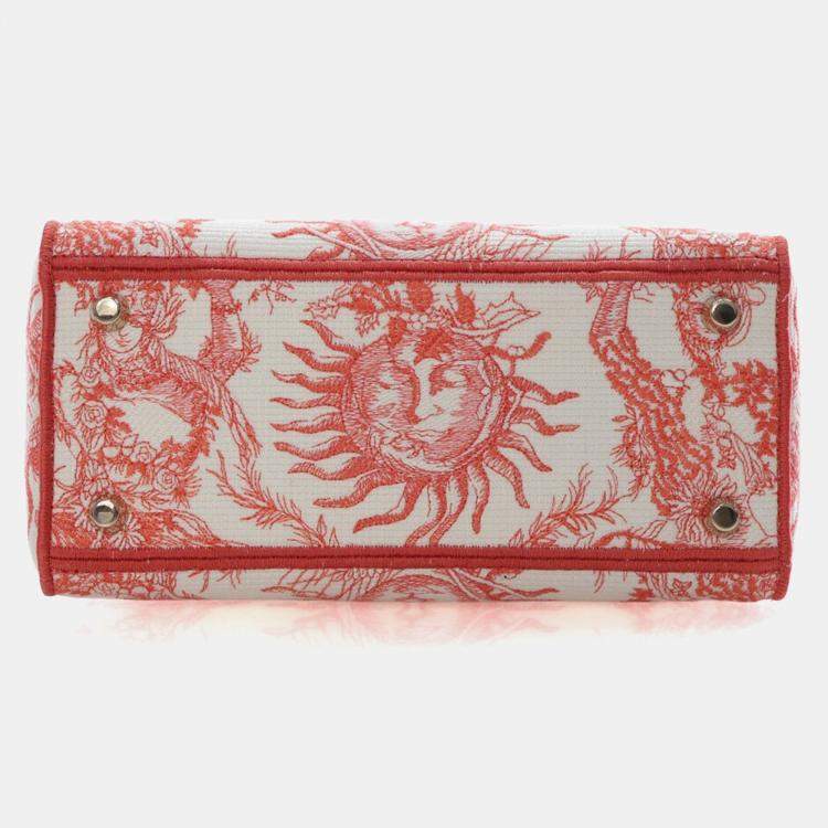 Pre Owned Christian Dior Medium Embroidered Canvas Dioriviera Lady D-Lite