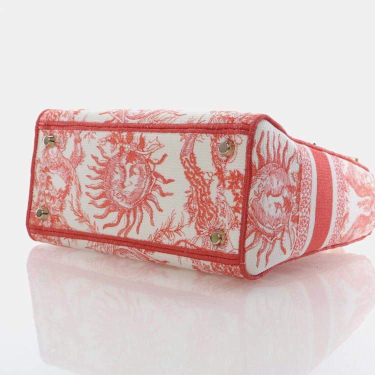 Pre Owned Christian Dior Medium Embroidered Canvas Dioriviera Lady D-Lite