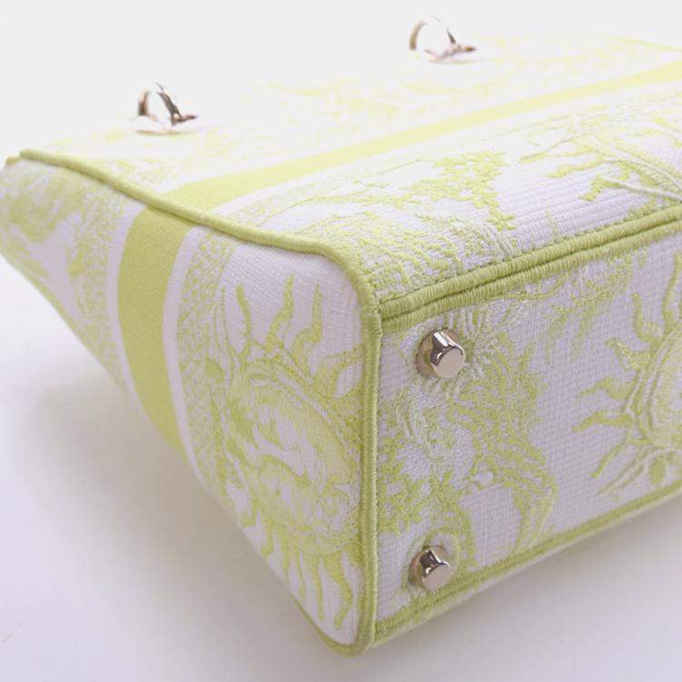 Pre Owned Christian Dior Medium Embroidered Canvas Dioriviera Lady D-Lite