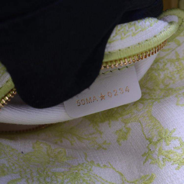 Pre Owned Christian Dior Medium Embroidered Canvas Dioriviera Lady D-Lite