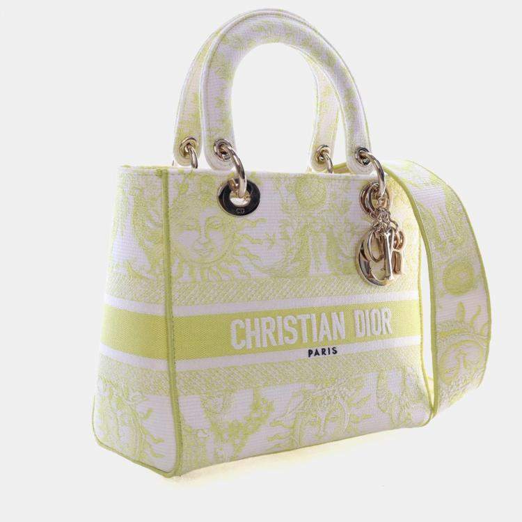 Pre Owned Christian Dior Medium Embroidered Canvas Dioriviera Lady D-Lite