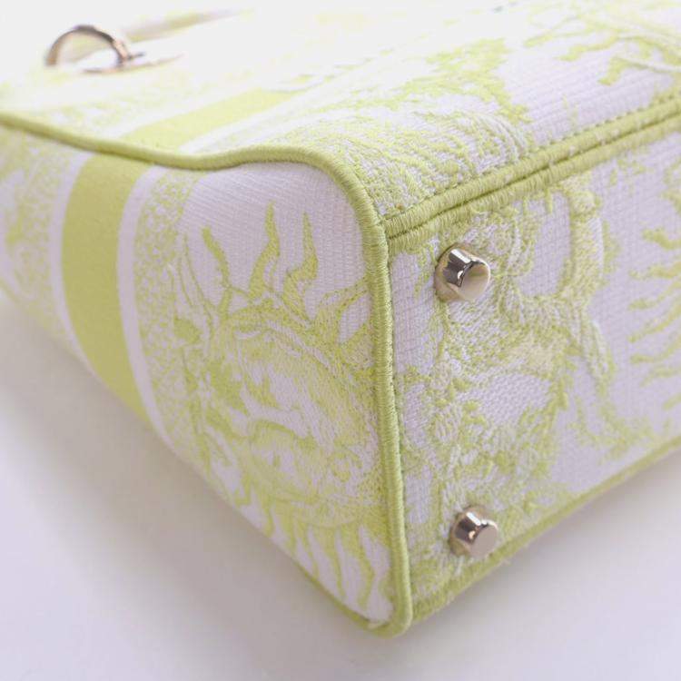 Pre Owned Christian Dior Medium Embroidered Canvas Dioriviera Lady D-Lite