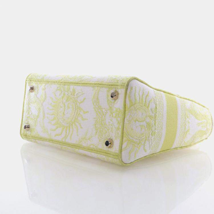 Pre Owned Christian Dior Medium Embroidered Canvas Dioriviera Lady D-Lite