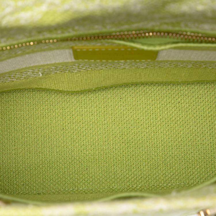 Pre Owned Dior Green Medium Embroidered Canvas Toile de Jouy Lady D Lite