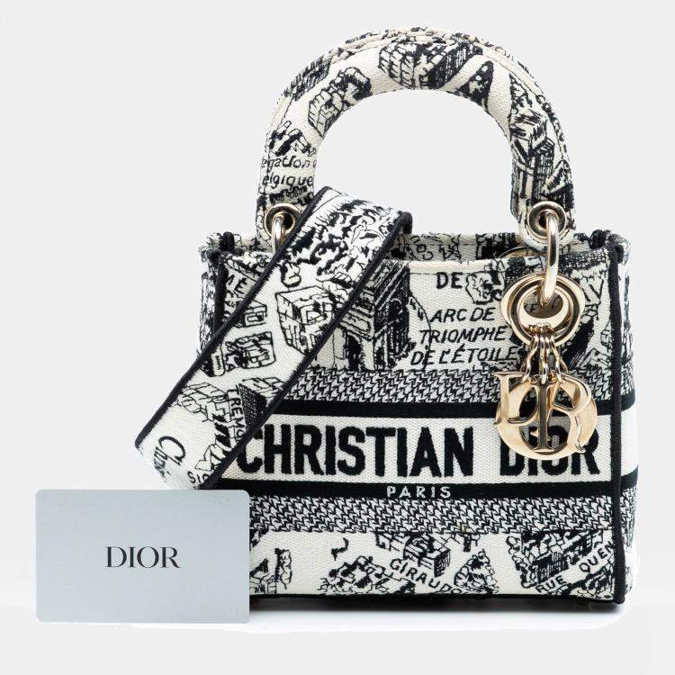 Pre Owned Dior White Mini Embroidered Canvas Plan de Paris Lady D Lite