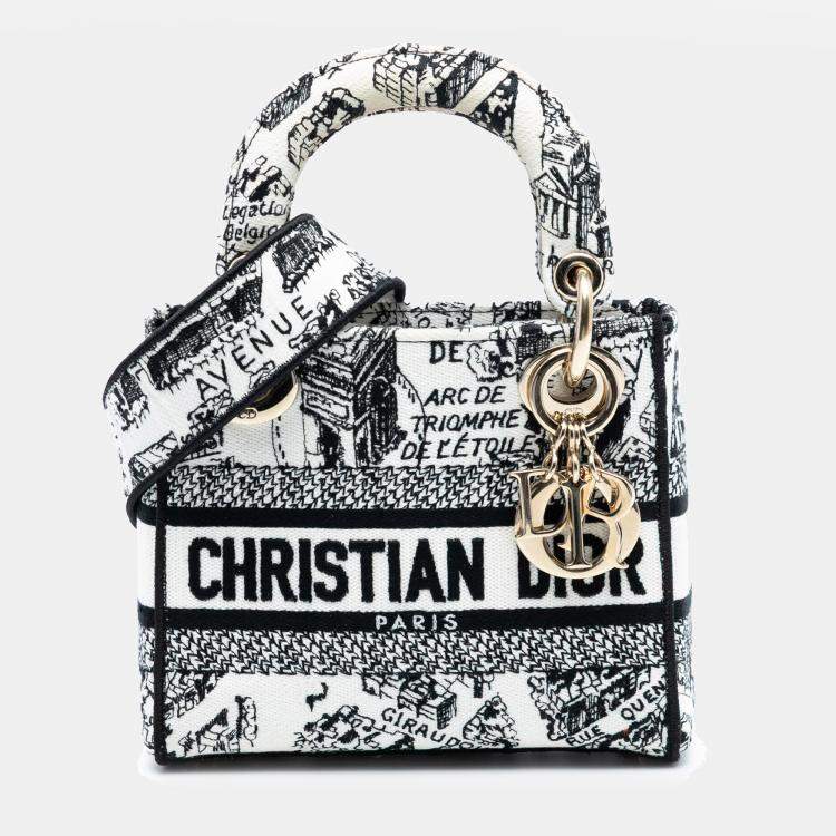 Pre Owned Dior Black White Mini Embroidered Canvas Plan de Paris Lady D Lite