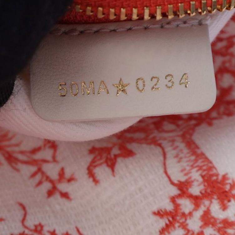 Pre Owned Dior Red White Medium Embroidered Canvas Toile de Jouy Soleil Lady D Lite