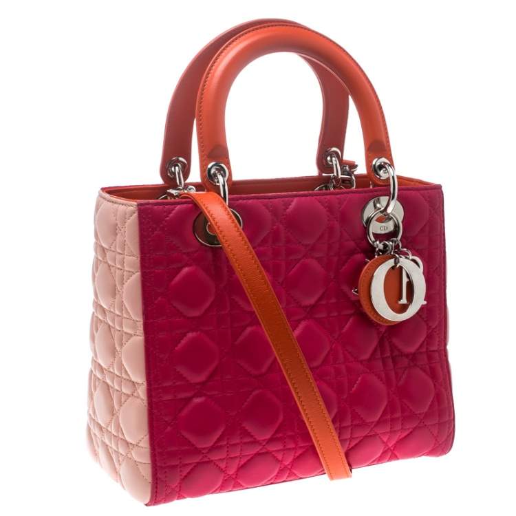 Pre Owned Dior Multicolor Leather Medium Lady Dior Tote
