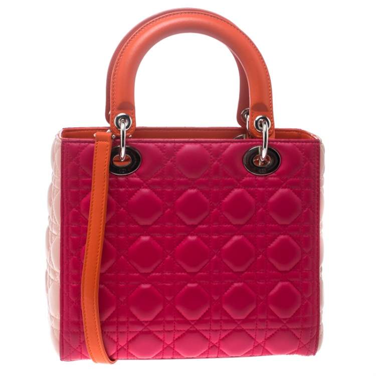Pre Owned Dior Multicolor Leather Medium Lady Dior Tote