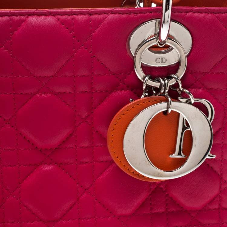 Pre Owned Dior Multicolor Leather Medium Lady Dior Tote