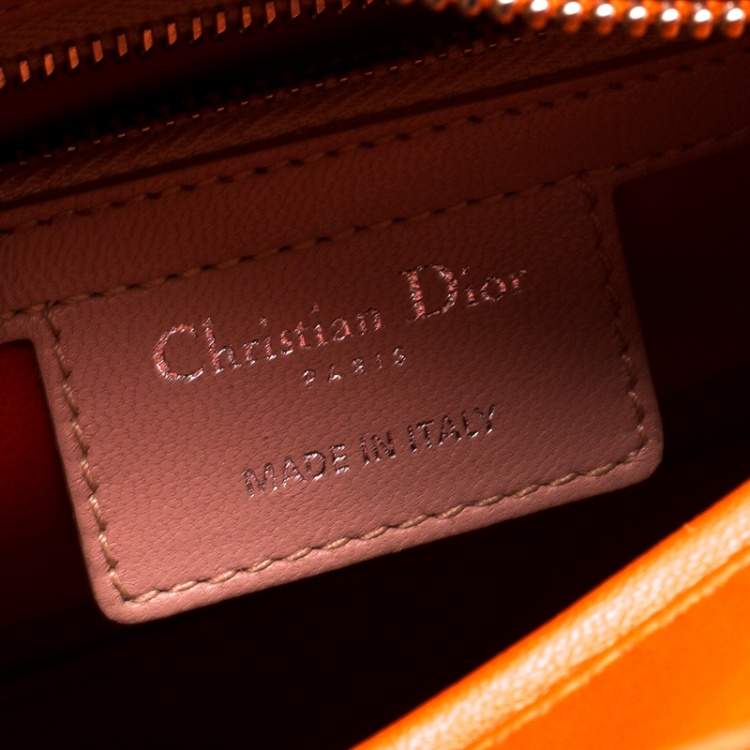Pre Owned Dior Multicolor Leather Medium Lady Dior Tote