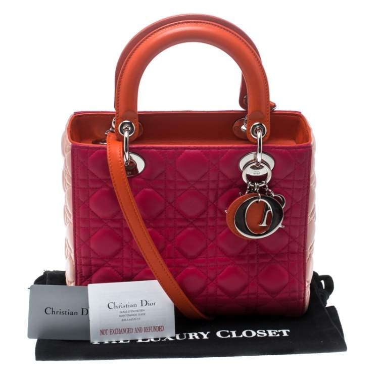 Pre Owned Dior Multicolor Leather Medium Lady Dior Tote