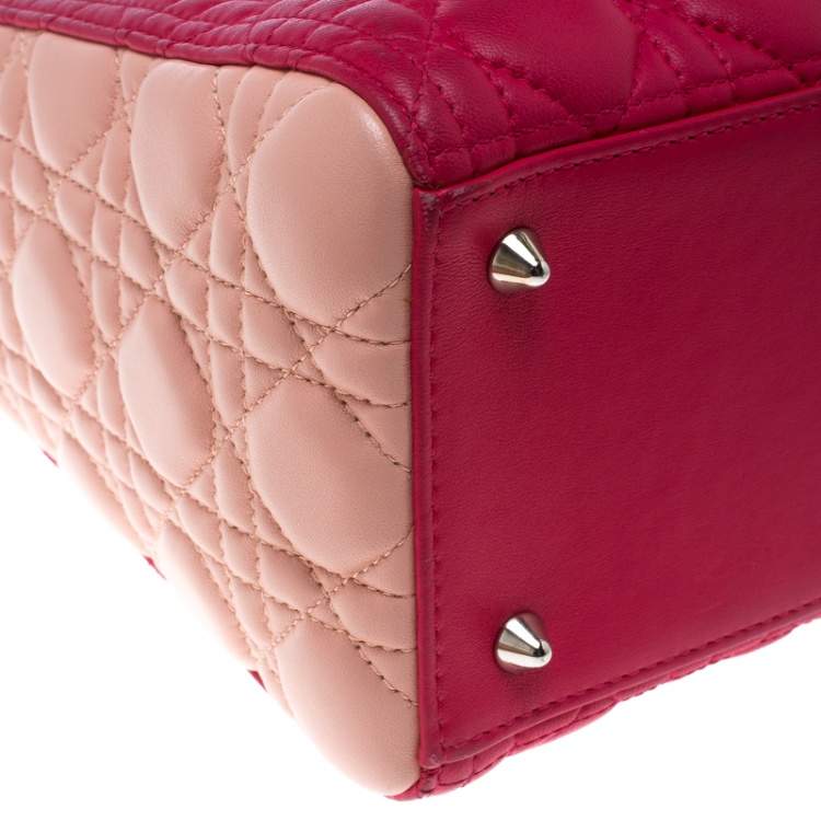 Pre Owned Dior Multicolor Leather Medium Lady Dior Tote