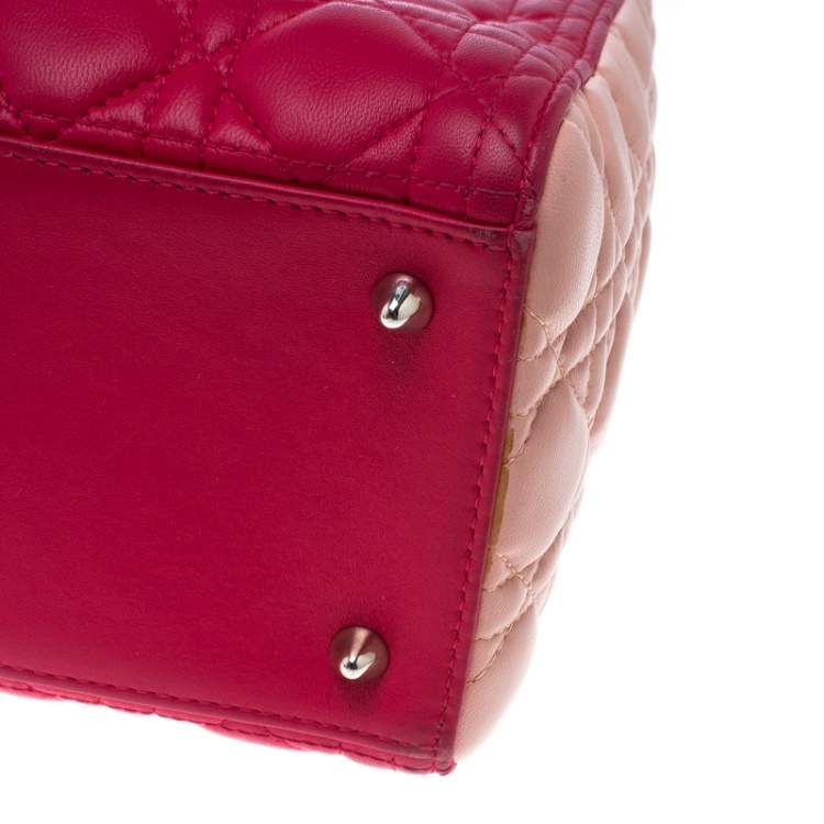 Pre Owned Dior Multicolor Leather Medium Lady Dior Tote