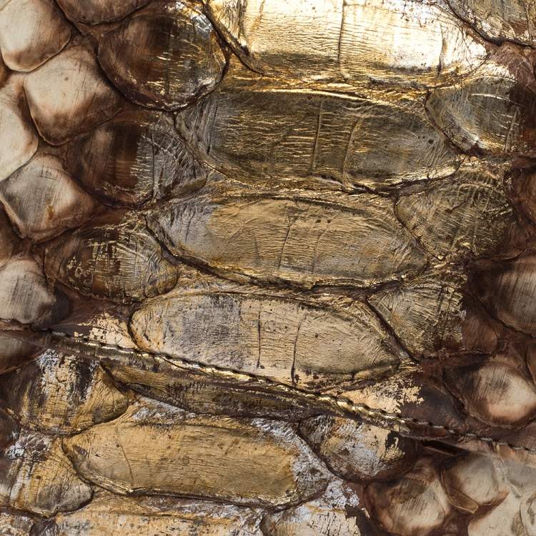 Pre Owned Dior Gold/Beige Python Wallet on Chain