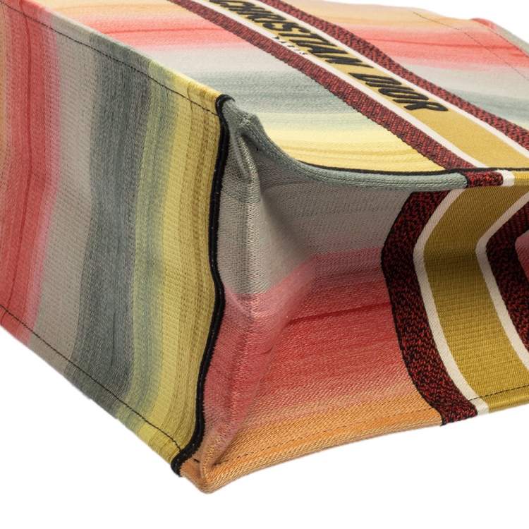 Pre Owned Dior Multicolor Dioraura Canvas Book Tote