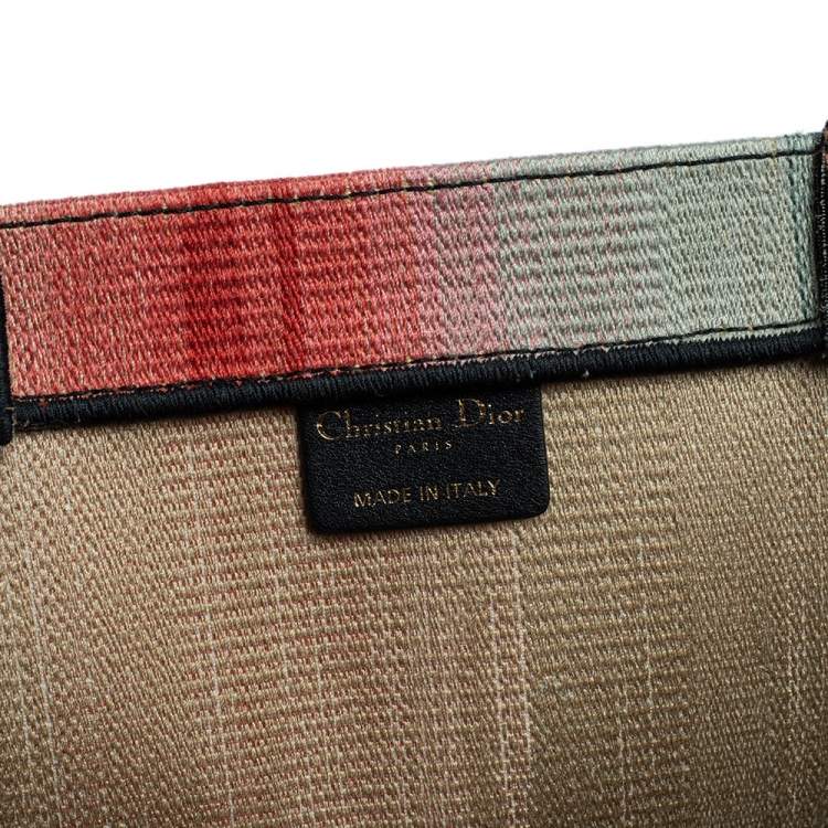 Pre Owned Dior Multicolor Dioraura Canvas Book Tote