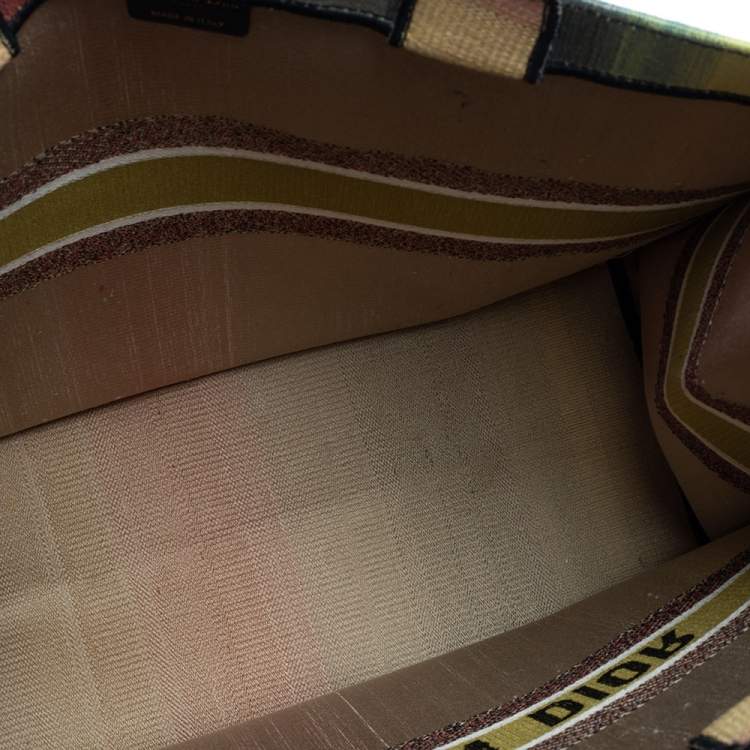 Pre Owned Dior Multicolor Dioraura Canvas Book Tote